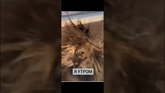 Главное не поспоришь 😂