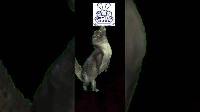 WhatsApp Video 2024-11-27 at 09.17.05 (1)