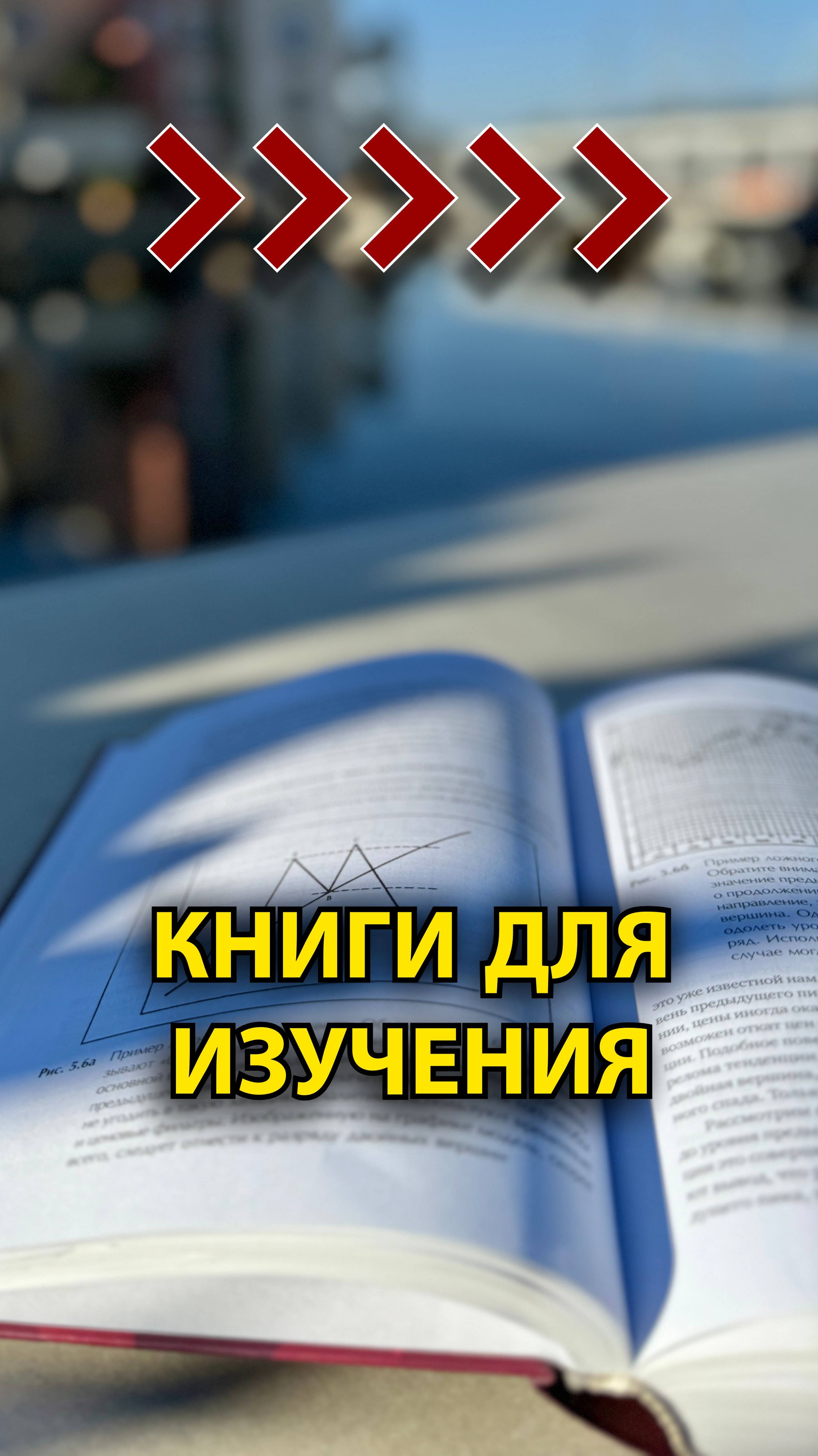 Книги для изучения на новогодние каникулы