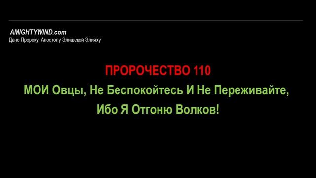 Пророчество 110. МОИ Овцы, Не Беспокойтесь И Не Переживайте, Ибо Я Отгоню Волков!