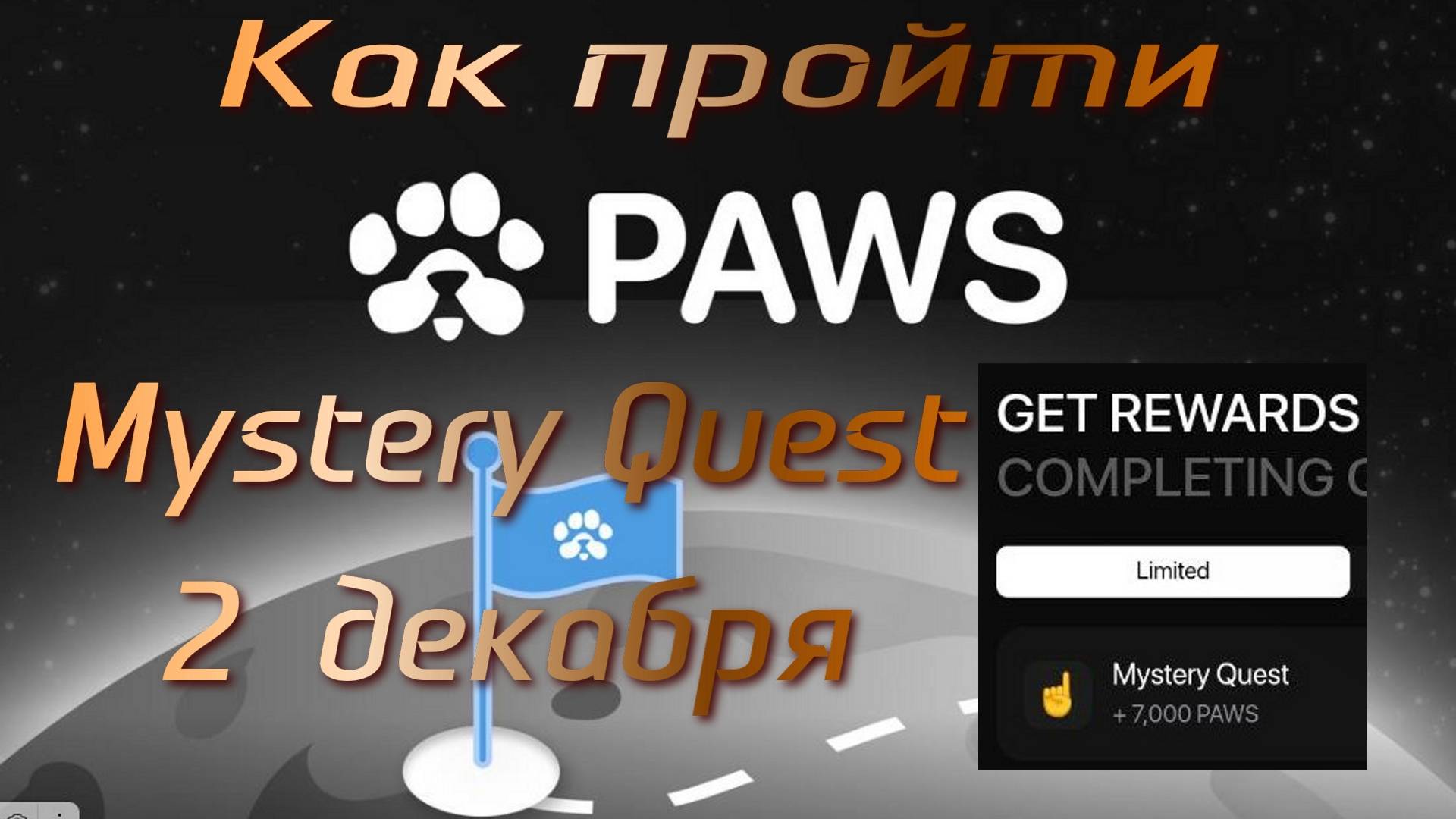 Прохождение Mystery Quest в PAWS. 2 декабря