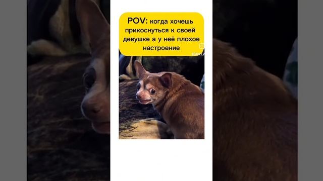 VIDEO-2024-12-02-12-20-05