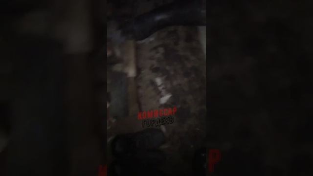 Украинские солдаты проклинают банду Зеленского, пустившую по миру незалежную🤬