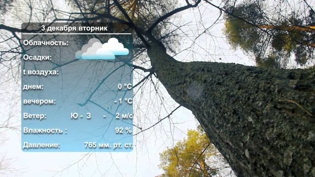 Погода на завтра_02_12_24