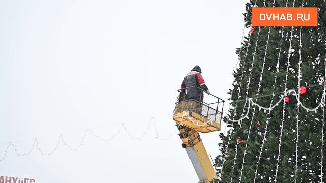 Главный символ Нового года установили на площади Ленина