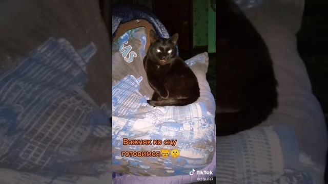 Привет ребята, ☝️😺🫶😺улыбнемся!