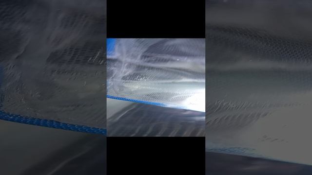 VID_20241202_090751.mp4