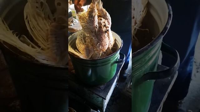 Машина за скубане на пилета