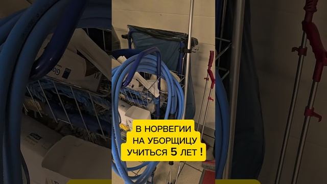 5 лет учиться на уборщицу в Норвегии