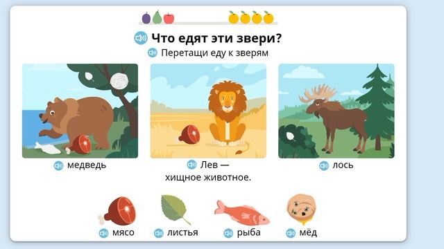 узнаем о животных