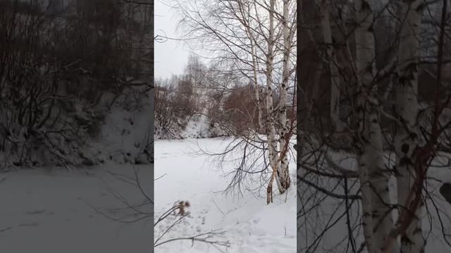 прогулка