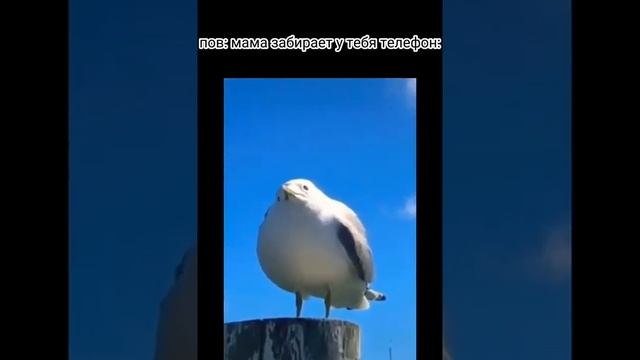 -это самое неприятное в жизни.