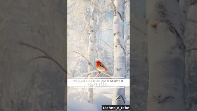 предсказание на сегодня