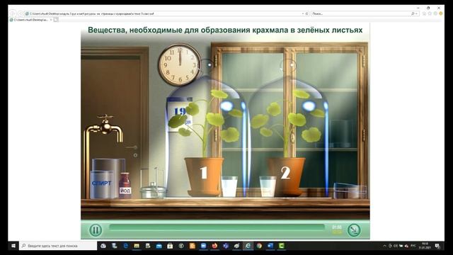 Опыт по доказательству необходимости углекислого газа для фотосинтеза
