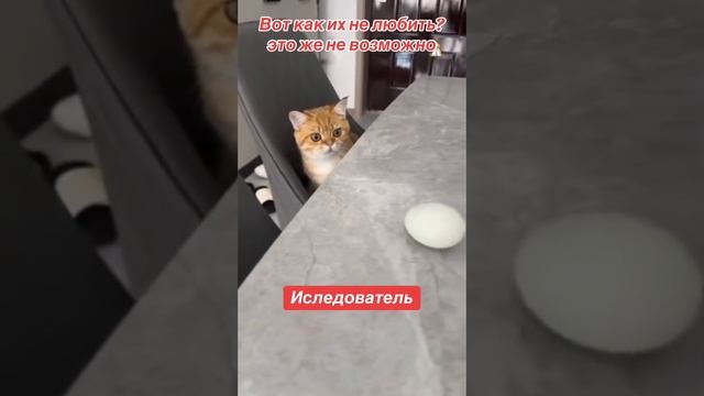 ИССЛЕДОВАТЕЛЬ