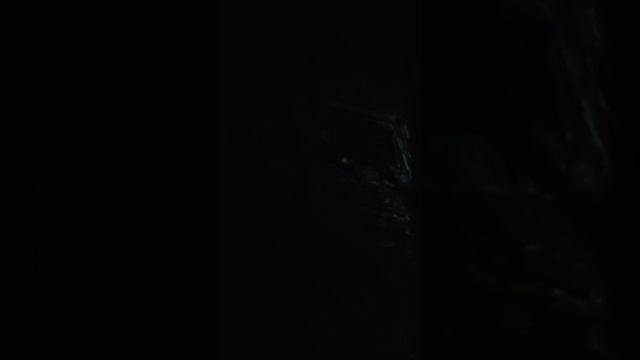 Полная чухлома 2024