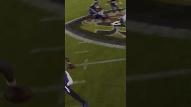 Lamar escapes the pockett