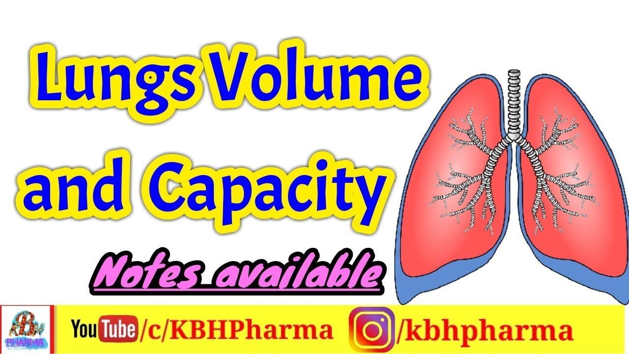 Lung Capacity | Respiratory Volume | TV | IRV | ERV | VC | Alveolar Ventilation | Dilkhush Raj