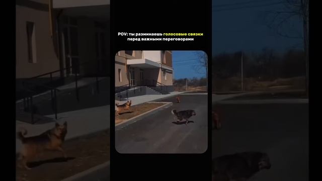 Переговоры - почти всегда стрессовая ситуация. Не забывайте держать баланс и расслабляйтесь 

#врач