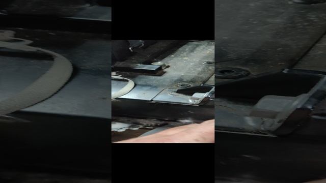 1000024974.mp4