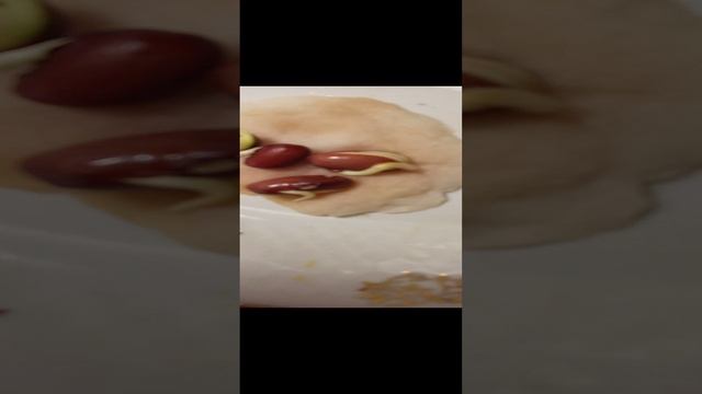 выращиваю фасоль! задание из школы! вот за три дня какой результат!