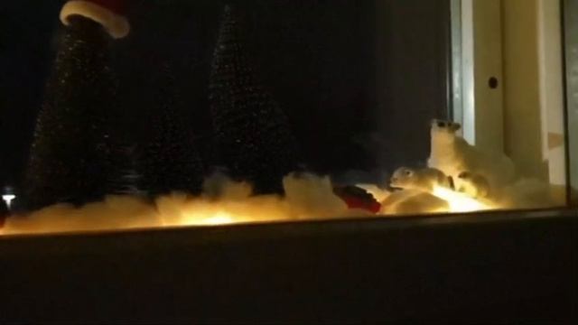 VID_20241202_150948_877.mp4