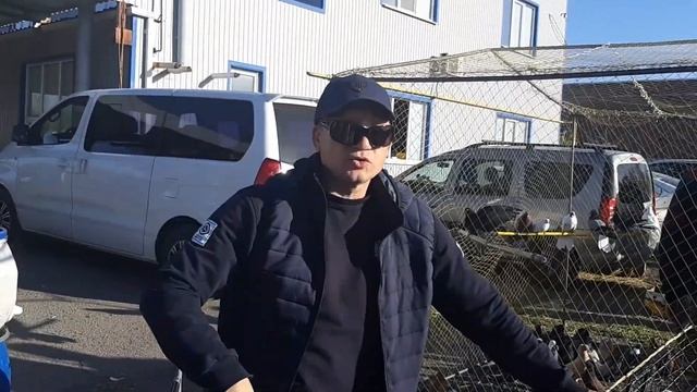 Продаю своих голубей на ярмарке в г.Шахты. Николаевские голуби. Pigeon Fair. Bird Market.