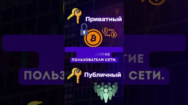 Что такое криптокошельки? 
#инвестиции #криптовалюта #биткойн #bitcoin #криптокошелек  #заработок