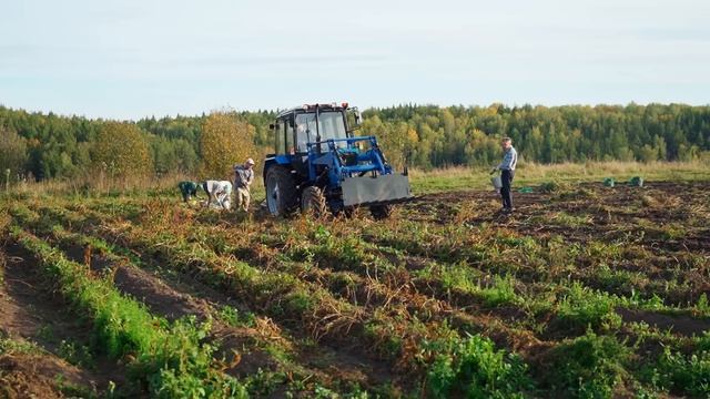 В ДЕРЕВНЕ ПРОСТО ТАК НЕ ПОСИДИШЬ! НА ЗАИМКЕ НЕ ХВАТАЕТ ДНЯ | КАРТОШКА | ПИРОГ С ЯБЛОКАМИ И БАНЯ