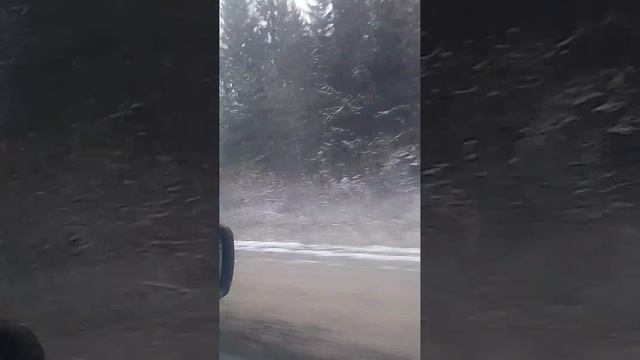 1000012875.mp4