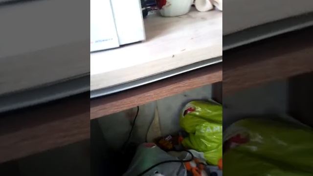 Кау