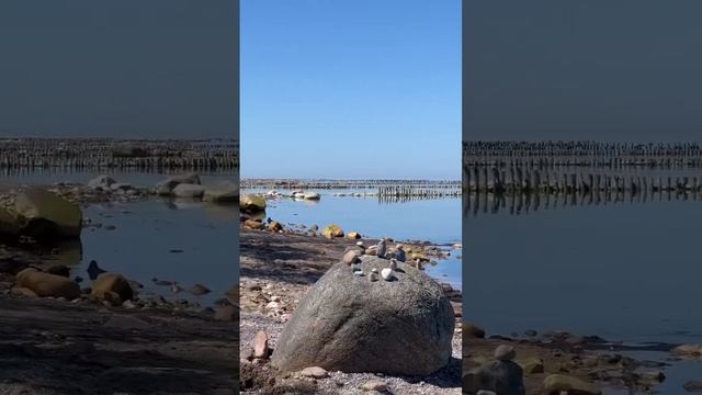 Пляж забытый Богом. Тут какая-то своя атмосфера… #калининград