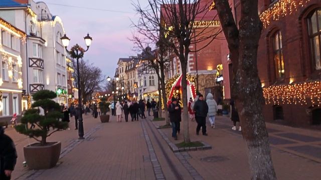 VID20241201163056.mp4
