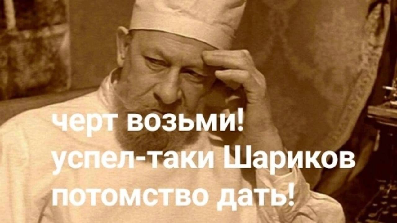 ПёсеГоловые, Собаки, кто они... упс, Евреи. Куть, Куть, Куть...