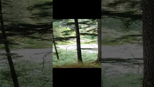 Тропами Кавказа