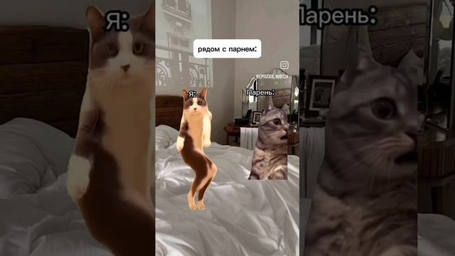 VIDEO-2024-12-02-12-19-47