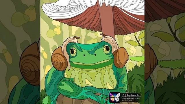 frog with two snails