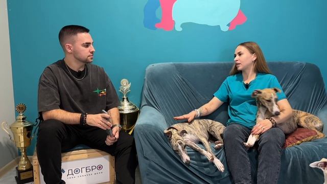 ИЗНУТРИ. Сеть зооцентров ДогБро. Груминг, дрессировка, фитнес, детский сад