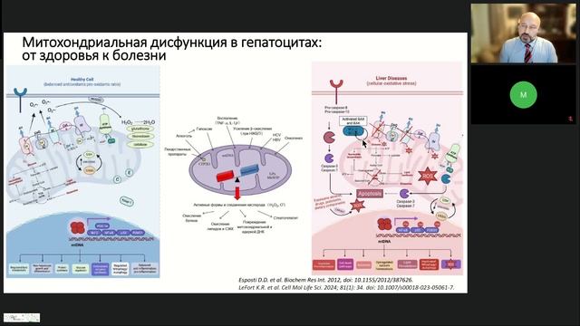 Обсуждение клинических рекомендаций. Алкогольная болезнь печени 2024