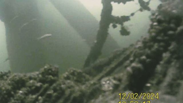 1000034246.mp4Волга гл.4м 02.12 2024г.