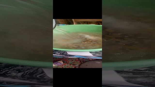 VID_20241202_103257.mp4