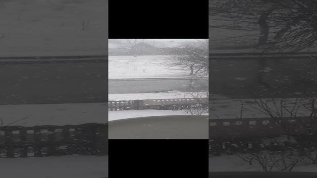 Мартовская погода. 08.03.22..mp4