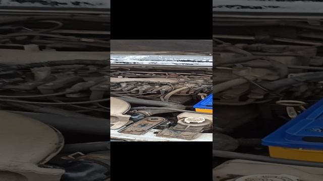 VID_20241130_101953.mp4