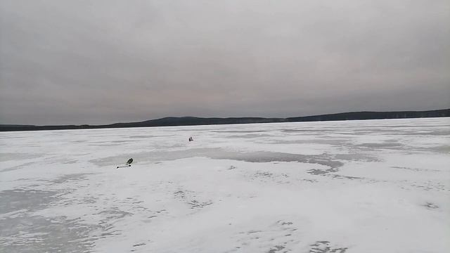 ВиЗ остров Каменный. Рыбалка на жерлицы.