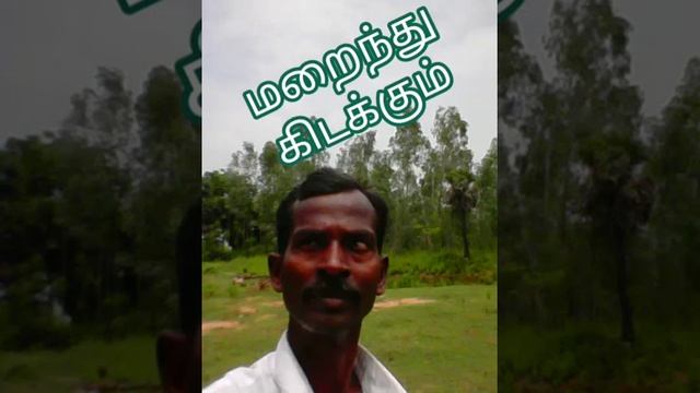 நீரோட்டகலை அறிவியலா? ஆன்மீகமா?