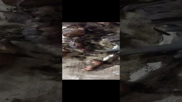 1000040516.mp4