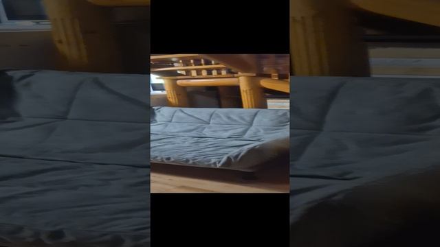 1000024508.mp4