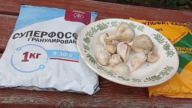Секреты посадки чеснока. Порадует урожаем...