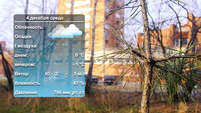 Погода на завтра_03_12_24