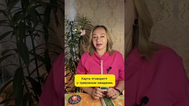 🦋Сможешь ли ты попасть куда мечтаешь?✨Гадаю на Таро.💫